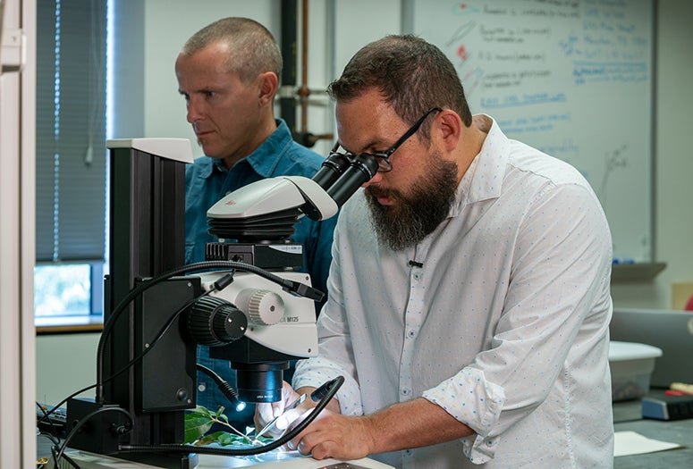 Rice bioscientists Scott Egan and Mattheau Comerford in Egan's lab in 2019
