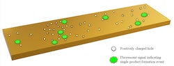 Positively charged holes that propagate at catalytic sites can spread out and trigger catalysis in neighboring sectors