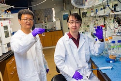Rice University postdoctoral fellow Zhen-Yu Wu, left, and graduate student Feng-Yang Chen show the products of theirhigh-performance nanowire catalyst, which has the ability to pull ammonia and solid ammonia (fertilizer) from nitrate, a common contaminant in industrial wastewater and polluted groundwater. (Credit: Jeff Fitlow/Rice University)