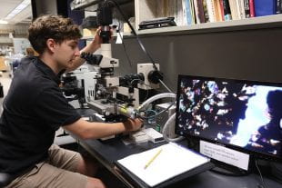 Rice University graduate student Patrick Phelps used cathodoluminescence microscopy to measure the chemical composition of sample crystals. (Photo by Linda Welzenbach/Rice University)
