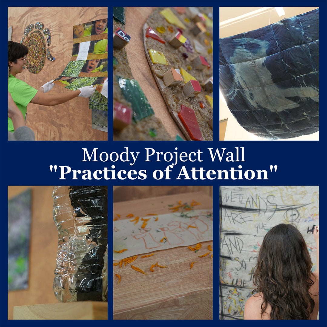 Moody Project Wall collage