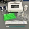 Low-cost HPV test