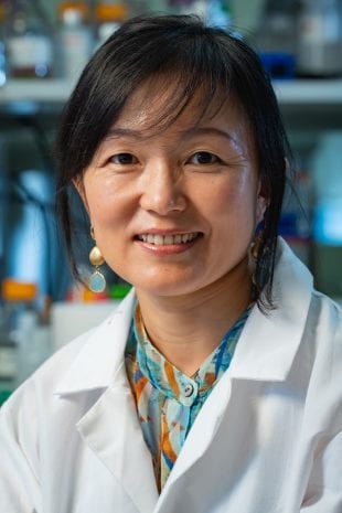 Qilin Li is a professor of civil and environmental engineering at Rice University and the co-director of the Rice University-based Nanotechnology Enabled Water Treatment Center (NEWT). (Photo by Jeff Fitlow/Rice University)