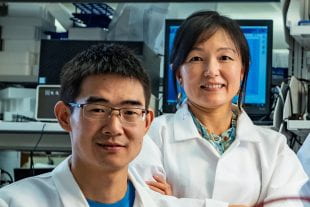 Rice University's Kuichang Zuo (left) and Qilin Li helped develop a highly efficient technology for desalinating industrial-strength brine with a salt content as much as 10 times greater than seawater. (Photo by Jeff Fitlow/Rice University)