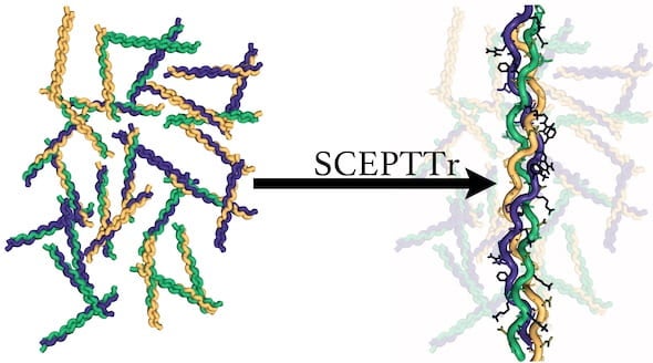 An algorithm by Rice University scientists predicts the structures and melting temperatures of collagen, the triple helix that accounts for about a third of the body’s proteins and forms the fibrous glue in skin, bones, muscles, tendons and ligaments. (Credit: Douglas Walker/Hartgerink Research Group)