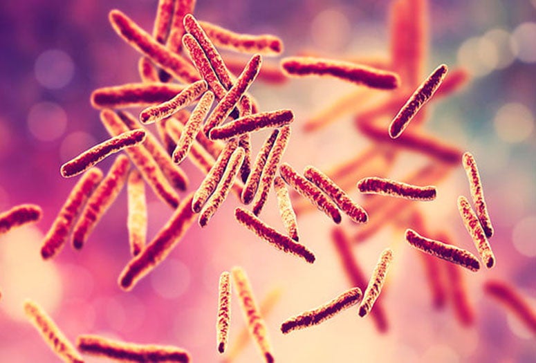 3D illustration of the bacterial pathogen Mycobacterium tuberculosis.