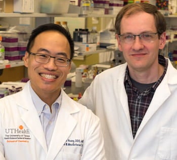 UTHealth's Dr. Simon Young, left, and Rice bioengineer Jeffrey Hartgerink and their teams have developed a hydrogel that delivers anti tumor agents directly to oral cancer tumors. Photo by Jeff Fitlow