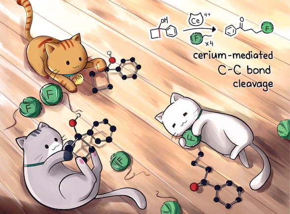 A mild process discovered by Rice University chemists could replace difficult, silver-based catalysis to create valuable fluoroketones, a precursor in the design and manufacture of drugs. Illustration by Renee Man/@chemkitty