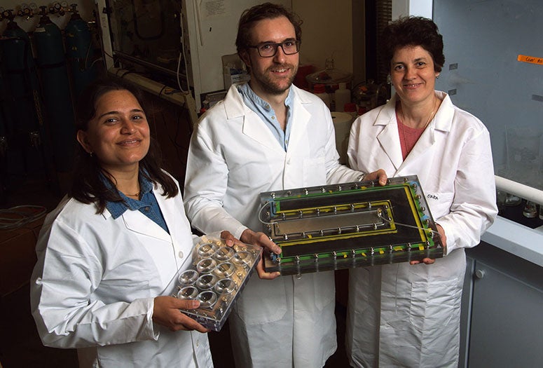 Pratiksha Dongare, Alessandro Alabastri and Oara Neumann