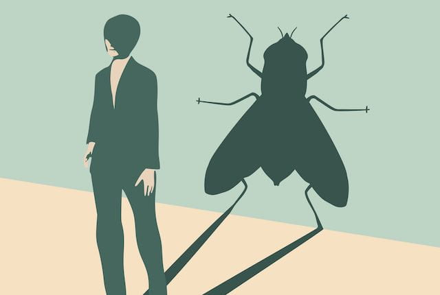 Biologists at Baylor College of Medicine, the Netherlands Cancer Institute and Rice University show in a study published in Science that the nuclear arrangement in a human cell can be turned into that typical of a fly. (Credit: Illustration by Evgeny Gromov)