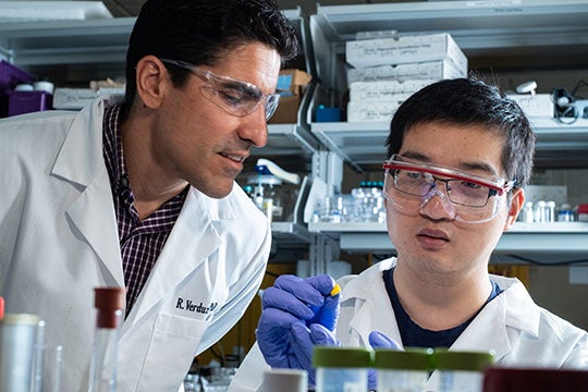 Rice University chemical and biomolecular engineer Rafael Verduzco, left, and graduate student Dongyang Zhu check an aerogel, a lightweight, porous covalent organic framework able to absorb environmental pollutants or serve as membranes in batteries or other applications. (Credit: Jeff Fitlow/Rice University)