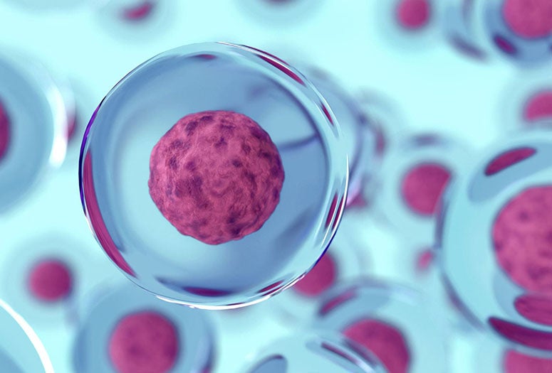 Abstract 3d cells of human or animal. Science concept