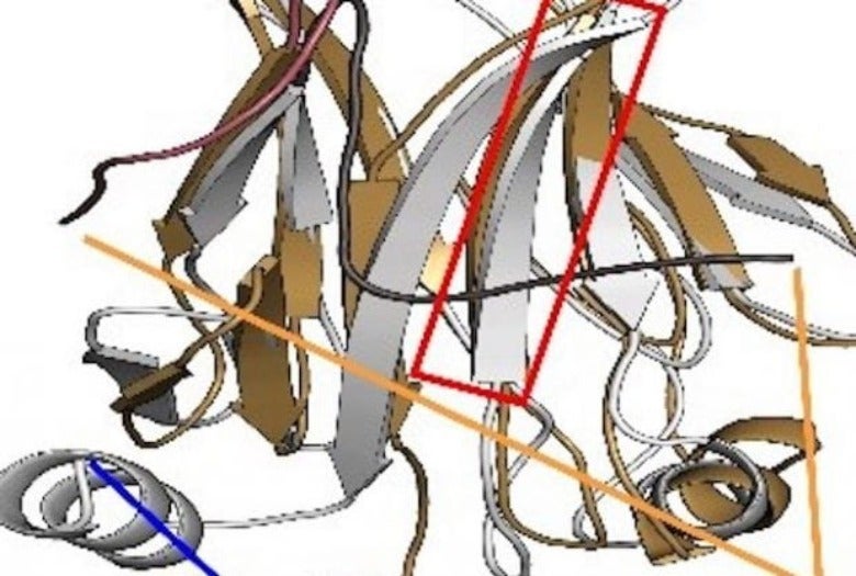 Amyloid