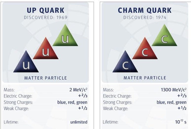 Particle cards