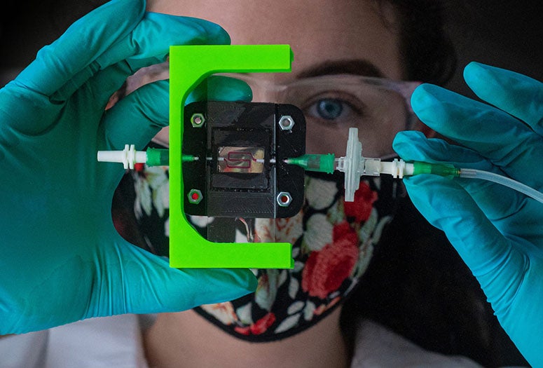 Graduate student Madison Royse demonstrates a laboratory setup for testing blood flow through 3D-printed hydrogel scaffolds for tissue engineering.