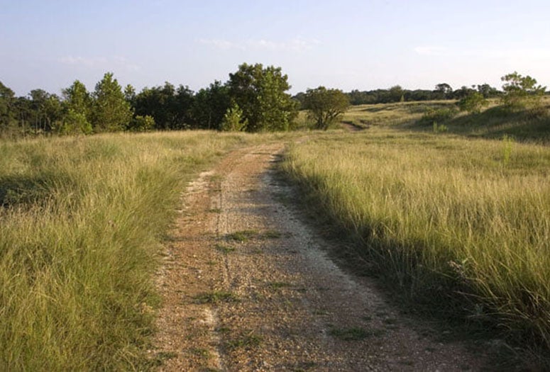 Grass field with trail. 