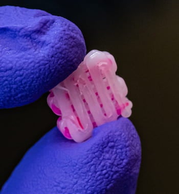 Artificial intelligence can speed the development of 3D-printed bioscaffolds like the one above to help injuries heal, according to researchers at Rice University. Photo by Jeff Fitlow
