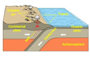 Illustration of the subduction of an oceanic lithospheric plate sliding beneath a continental plate. (Modified from image provided courtesy of Booyabazooka/Wikimedia Commons)