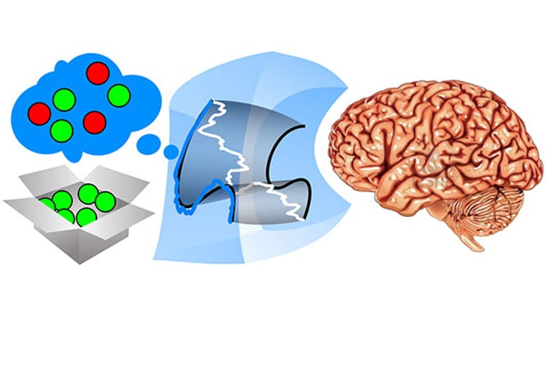 An illustration of the method for inferring thoughts within patterns of brain activity, based on observing behavior.