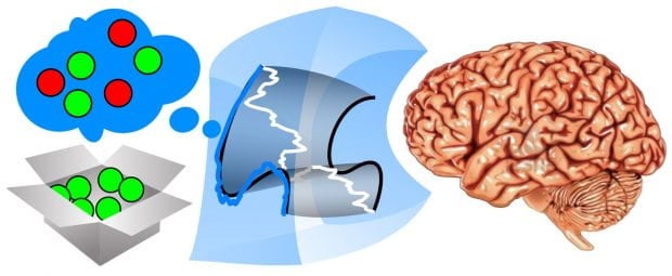 An illustration of a method for inferring thoughts within patterns of brain activity, based on observing behavior.