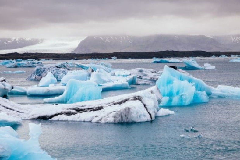 Iceburg