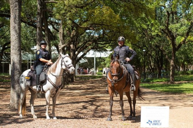 Police officers on horseback. 
