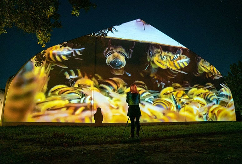 Rice artist-in-residence Allison Hunter stands in front of her video projection, “Hive at Rice.” (Photo credit: Brandon Martin/Rice University)