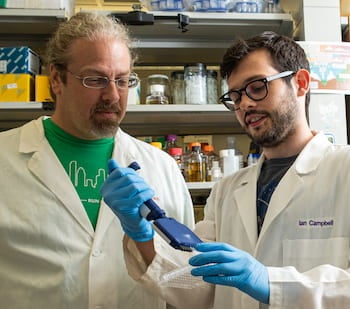 Rice synthetic biologist Jonathan Silberg, left, and postdoctoral researcher Ian Campbell led a team that analyzed the role of ferredoxin proteins produced when viral phages alter electron transfer in ocean-dwelling, photosynthetic bacteria that produce oxygen and store carbon. Photo by Jeff Fitlow
