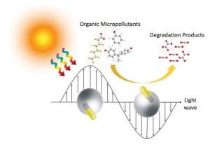 Engineers from Yale University and Rice University collaborated on the creation of "Janus" gold nanorods, a new type of nanoparticle that can purify water by converting light to heat. (Image courtesy of NEWT/Yale University/Rice University)
