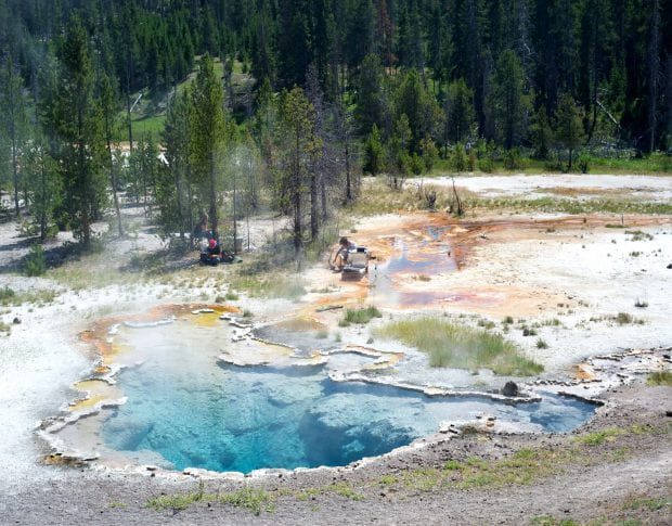Microbial mats from Yellowstone Park's Octopus Spring will be the focus of a project led by Rice University data scientists, who will attempt to define "social networks" in microbiomes. (Credit: Bhaya Lab/Carnegie Science)