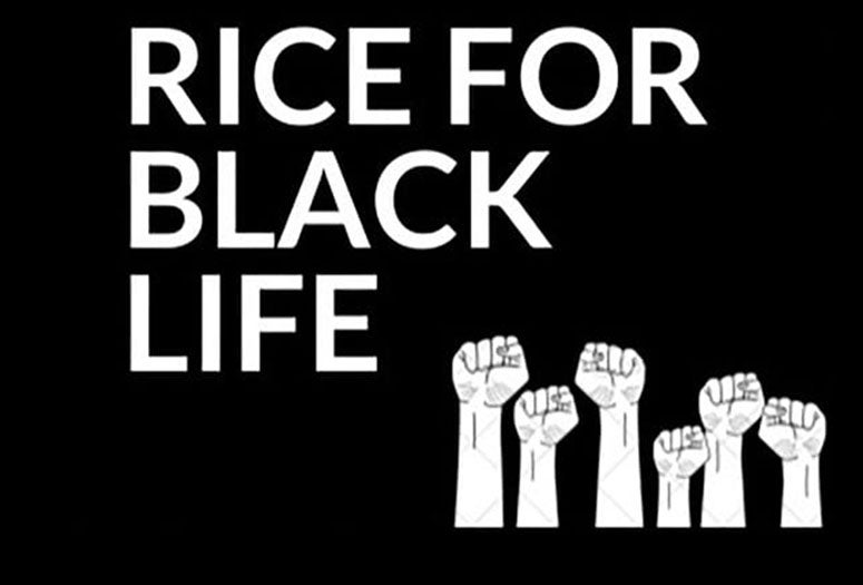Rice for Black Life Poster