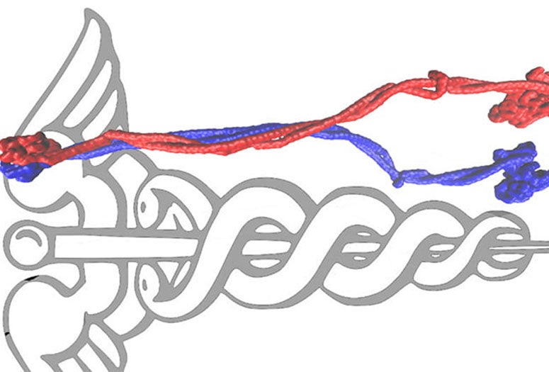 The caduceus, often depicted as a symbol of medicine, and a cohesin protein.