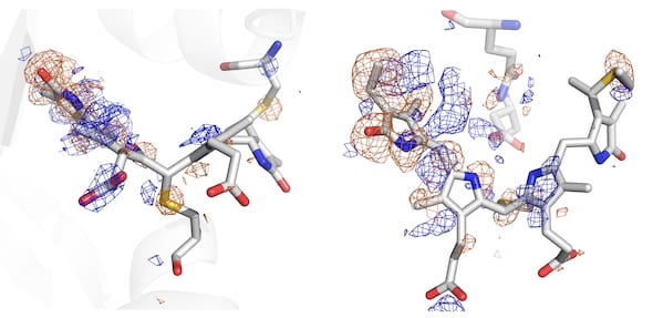 A structural view of the light-sensing part of PixJ from the side and above captured through X-ray crystallography demonstrates changes in the signaling protein when excited by light. The protein, part of the phytochromes responsible for letting plants sense the presence of light, was one of the first analyzed by researchers at Rice and elsewhere at the upgraded laser at the Department of Energy’s SLAC National Accelerator Laboratory. Illustration by Jonathan Clinger