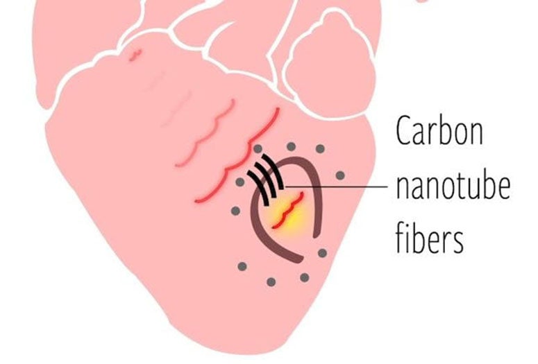 Heart nanotube fiber graphic