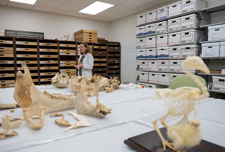 Inside the Archaeology Lab: Mending with Archival Glue 