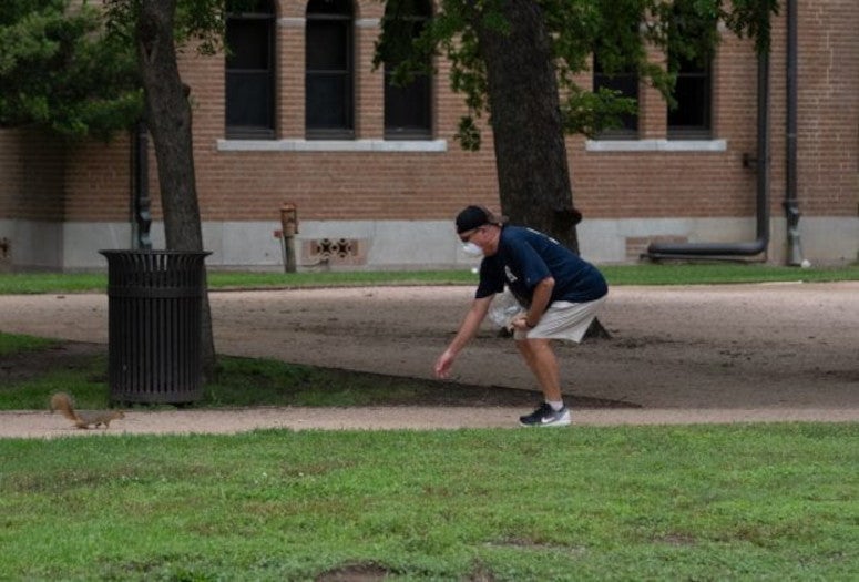 mark ditman squirrel
