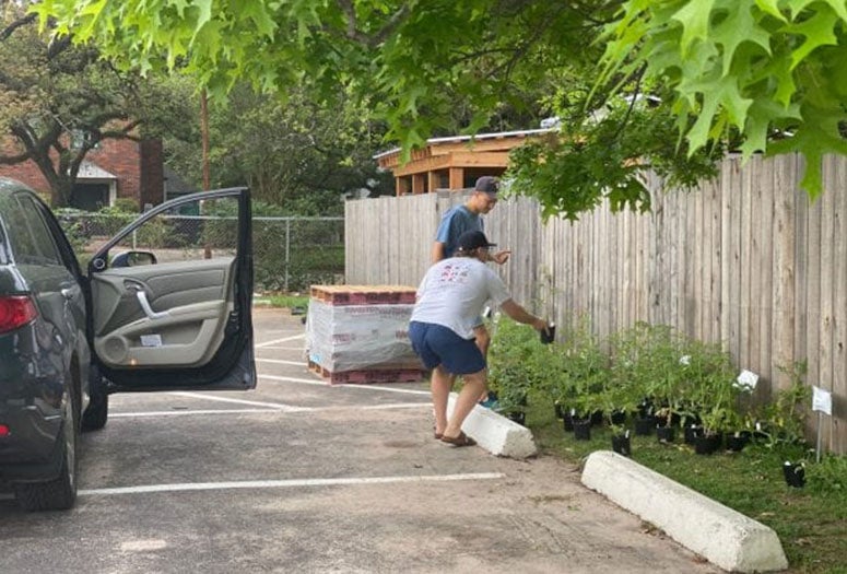 Campus garden adopts out summer plants to good homes