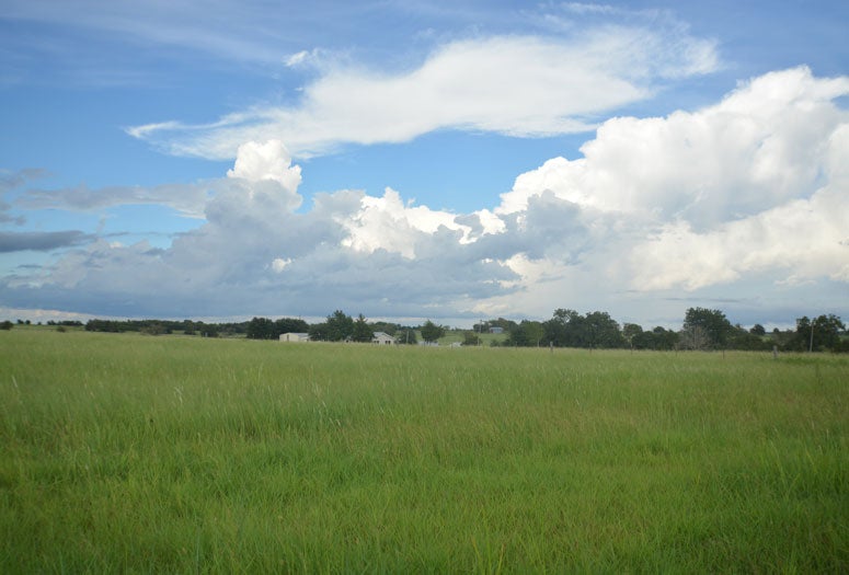 Texas prairie landscape