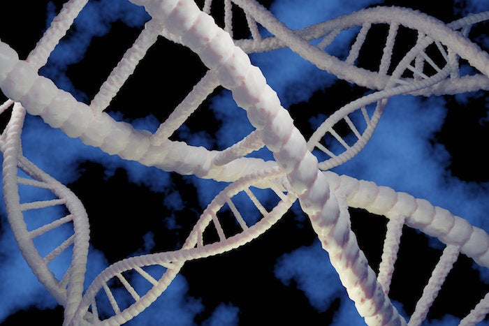 Rendering of DNA structure. Photo credit: 123rf.com