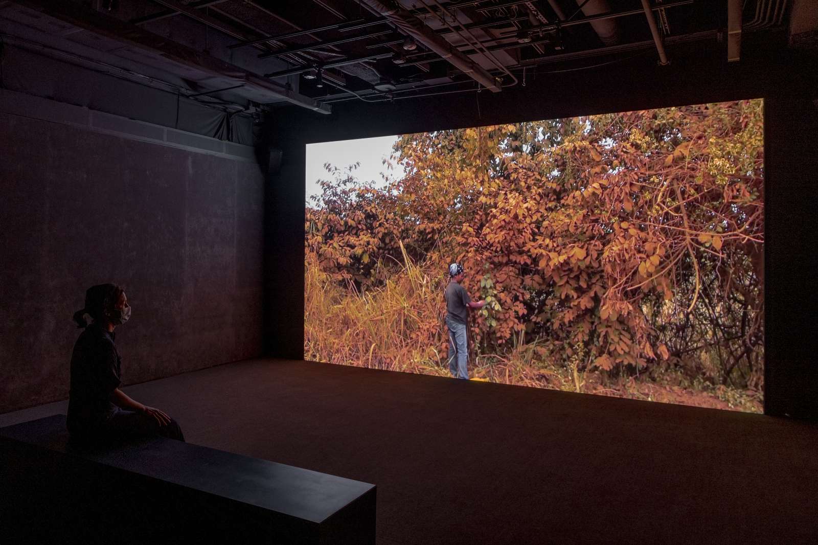 "The Sand Recalls the Moon's Shadow" now on exhibition at the Moody Center for the Arts.