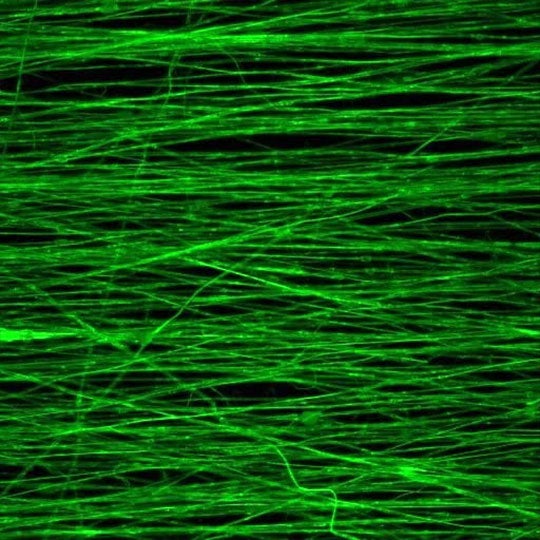 Aligned fibers produced via electrospinning