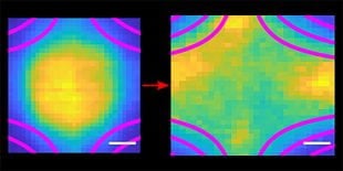 Images produced by laser-induced fluorescence show how a rapidly expanding cloud of ultracold plasma (yellow and gold) behaves when confined by a quadrupole magnet. Ultracold plasmas are created in the center of the chamber (left) and expand rapidly, typically dissipating in a few thousandths of a second. Using strong magnetic fields (pink), Rice University physicists trapped and held ultracold plasmas for several hundredths of a second. By studying how plasmas interact with strong magnetic fields in such e