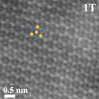 An electron microscope image shows tungsten disulfide in its metastable 1T state. The orange dots represent sulfur atoms, the blue represent tungsten. Courtesy of the Tour Group
