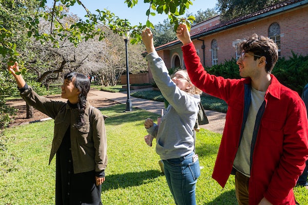 Texas Arbor Day walk at Rice