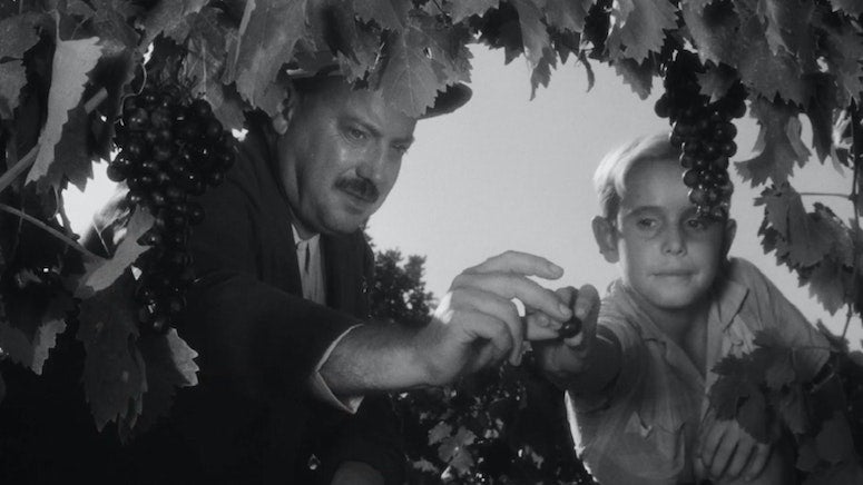A still from James Blue's 1962 film 'The Olive Trees of Justice'