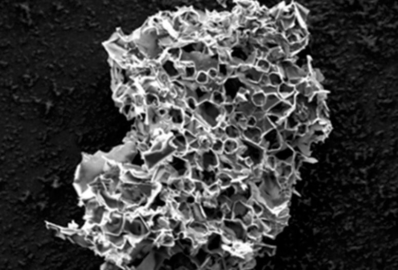 Pores in this micron-scale particle, the result of pyrolyzing in the presence of potassium acetate, are able to sequester carbon dioxide from streams of flue gas. Rice University scientists say the process could be a win-win for a pair of pressing environmental problems. 