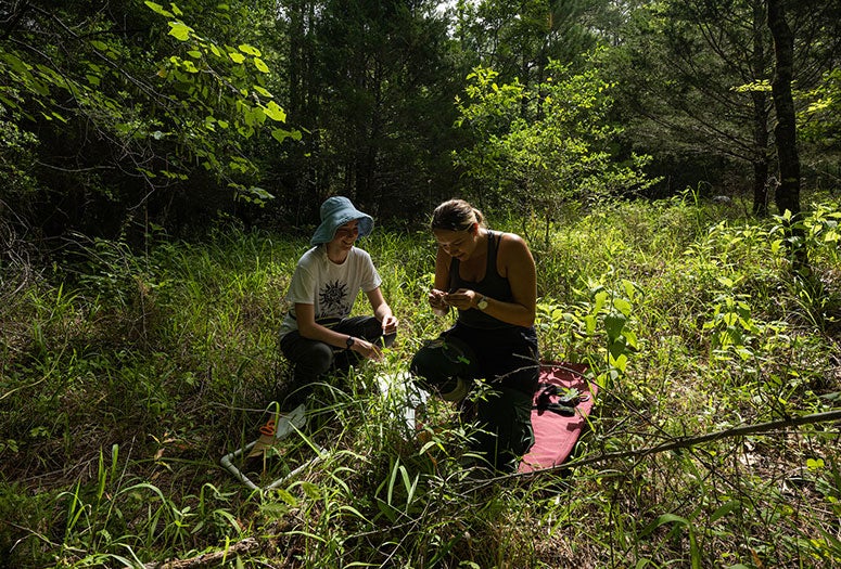 Rice biosciences students from the Miller lab collecting grasses and fungi symbionts at site near Huntsville