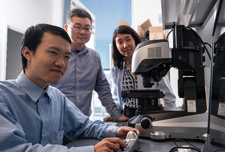 Rice University neuroengineers (from left) Hanlin Zhu, Chong Xie and Lan Luan