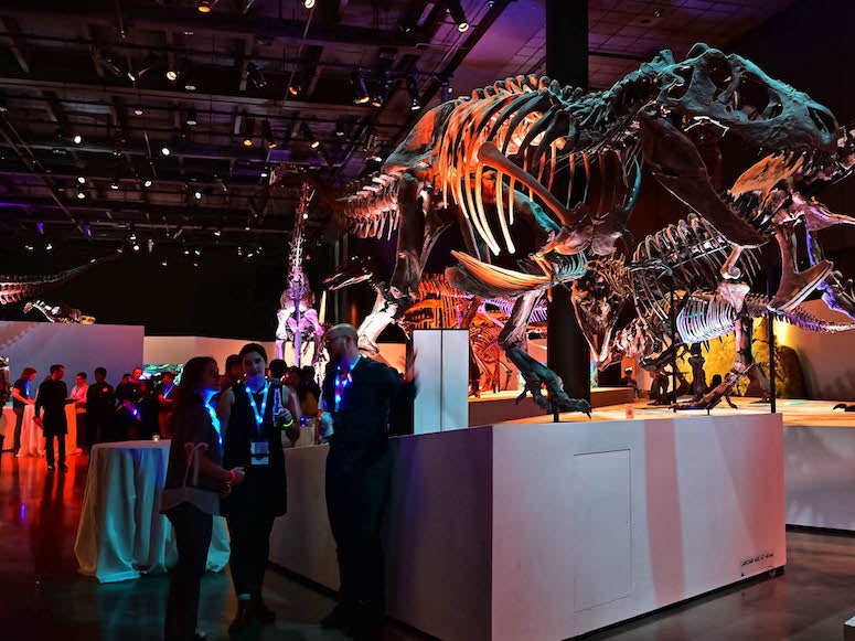 Prospective graduate students mingle among dinosaurs at recruitment event