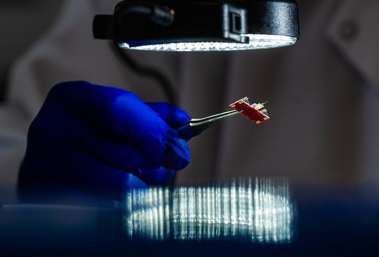 lab photo